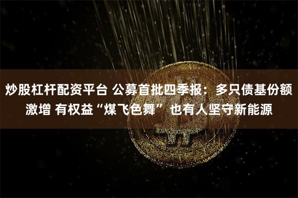 炒股杠杆配资平台 公募首批四季报：多只债基份额激增 有权益“煤飞色舞” 也有人坚守新能源