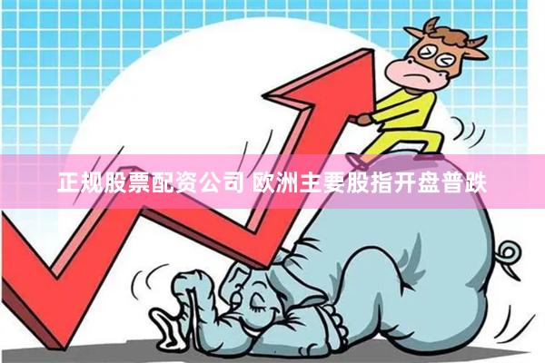 正规股票配资公司 欧洲主要股指开盘普跌