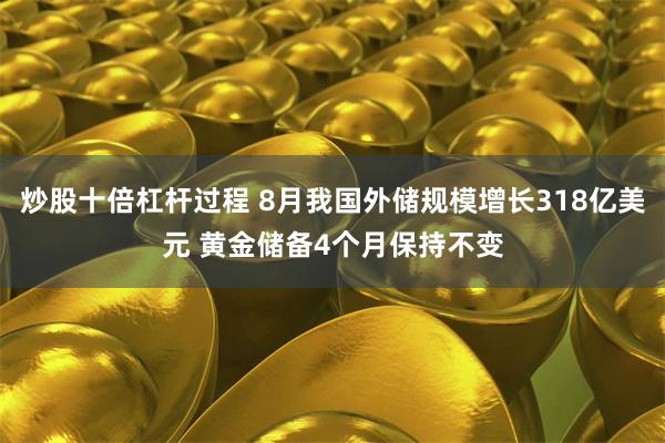 炒股十倍杠杆过程 8月我国外储规模增长318亿美元 黄金储备4个月保持不变