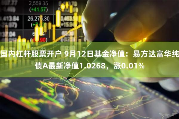 国内杠杆股票开户 9月12日基金净值：易方达富华纯债A最新净值1.0268，涨0.01%