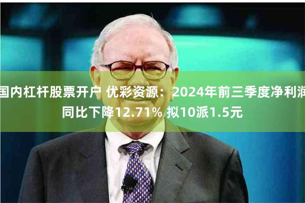 国内杠杆股票开户 优彩资源：2024年前三季度净利润同比下降12.71% 拟10派1.5元