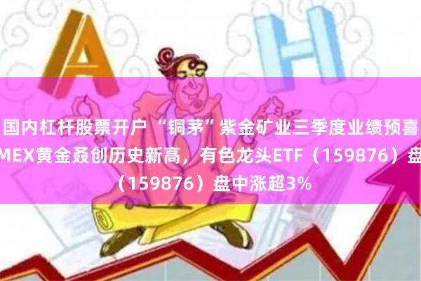 国内杠杆股票开户 “铜茅”紫金矿业三季度业绩预喜，国际COMEX黄金叒创历史新高，有色龙头ETF（159876）盘中涨超3%