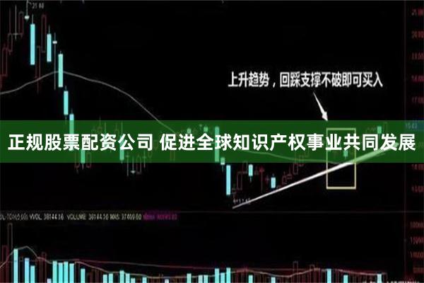 正规股票配资公司 促进全球知识产权事业共同发展