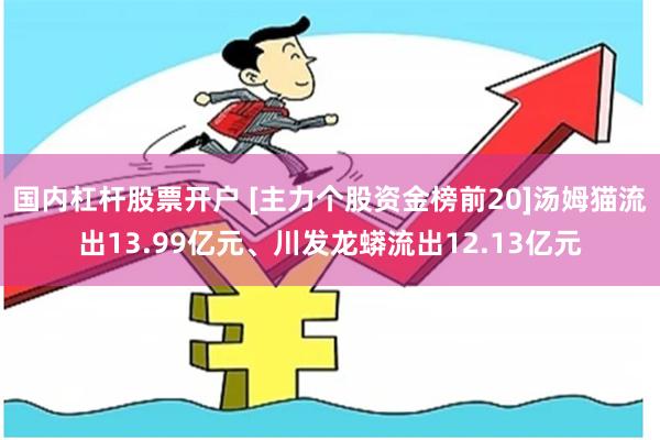 国内杠杆股票开户 [主力个股资金榜前20]汤姆猫流出13.99亿元、川发龙蟒流出12.13亿元
