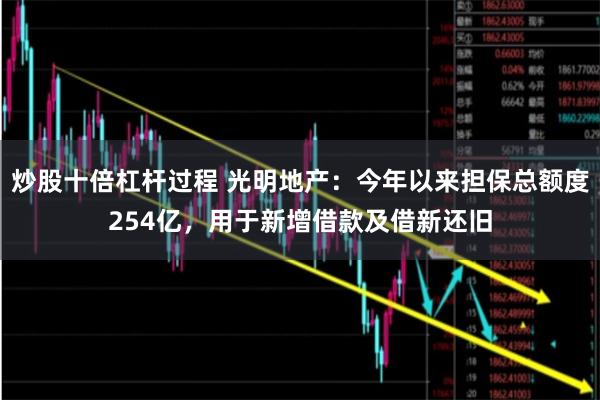 炒股十倍杠杆过程 光明地产：今年以来担保总额度254亿，用于新增借款及借新还旧